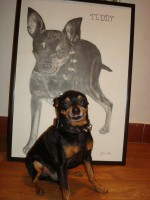 /album/friski-kon/a10943259-1022772694419393-1910310245-n-jpg/